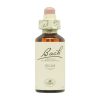 Bach Bloemen Els – 20ml