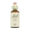 Flores de Bach Pinheiro Silvestre 24 – 20ml