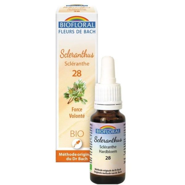 Fleurs de Bach Scleranthus Escleranto 28 (Force de Volonté) – 9g
