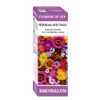 Flower of Life Perdite Affettive Equisalud – 15ml