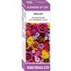 Λουλούδι της Ζωής Rescate Equisalud – 15ml