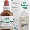 Forza Vitale Les Castanea Vesca – 50ml