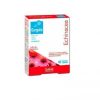Gargola Echinacea 45 Capsule Sakai