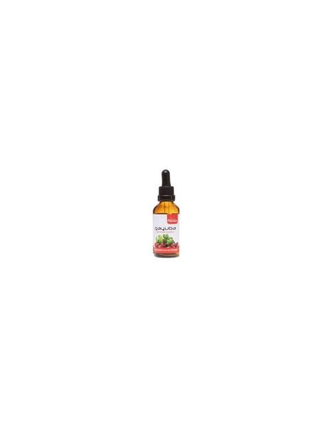 Gayuba C/ Alcohol Ambachtelijke Landbouw – 50ml