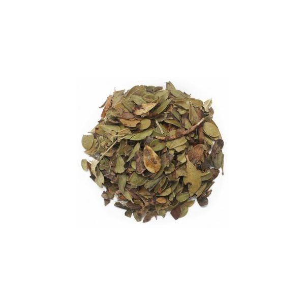 Gayuba 6 unités Bedar – 50g