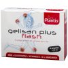 Gelisan Plus Flash Glucosamin + Kurkuma + MSM 14 Agrarhandwerk