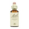 Genciana Bach Bloemen – 20ml