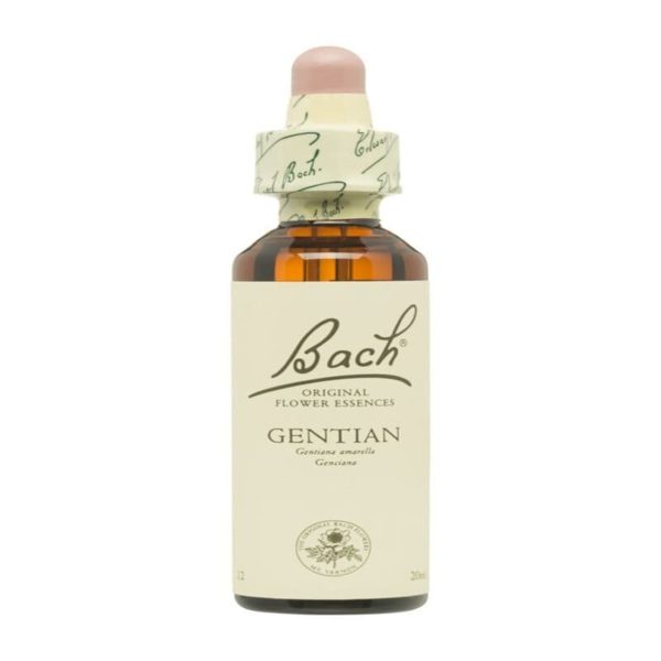 Genciane Fleurs de Bach – 20ml