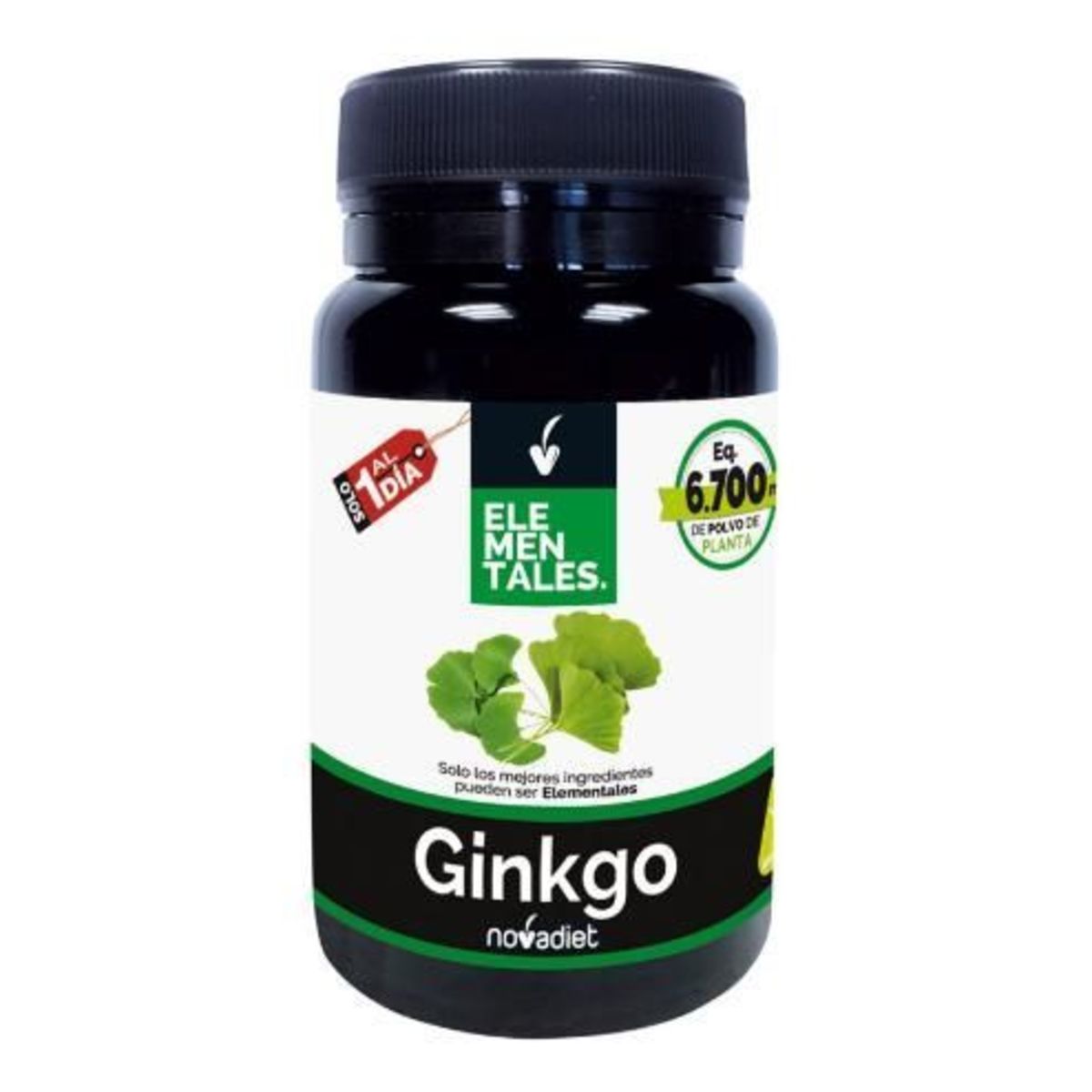 Ginkgo 30 cápsula vegetales – Novadiet