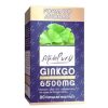 Ginkgo Biloba 80 Kapseln 6.500 mg Estado Puro Tongil