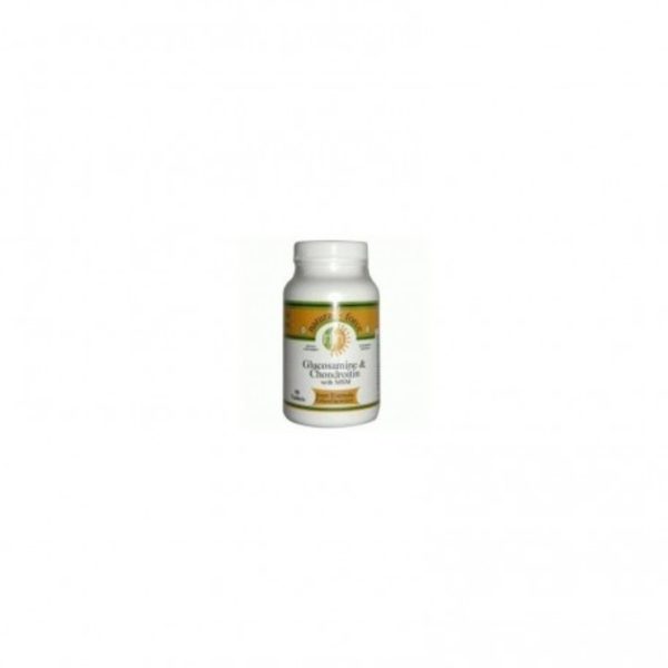 Glucosamine + Chondroïtine + Msm 90 Tabletten Nutri-force