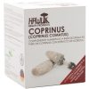 Hawlik Coprinus Extrait Pur 60 capsules