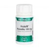 Holofit Boswellia Fitosomée 50 Capsules Equisalud