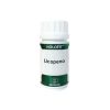 Holofit Lycopène 50 Capsules Equisalud