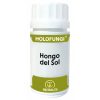 Holofungi 50 Kapseln Sonnenpilz Equisalud