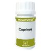 Holofungi Coprinus 50 Kapseln Equisalud