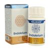 Holoram Endokrium 60 Kapseln Equisalud