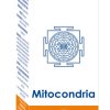 HOLORAM MITOCONDRIA 60 Kapseln