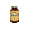 Champignon du Soleil Zeus 180 capsules