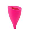 Intimina lily cup copo menstrual tamanho B