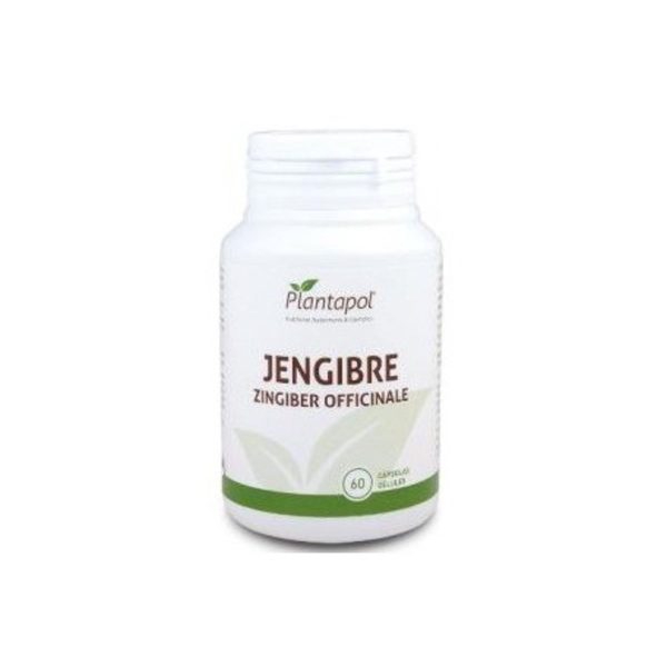 Ingwer 600 mg 60 Kapseln Plantapol