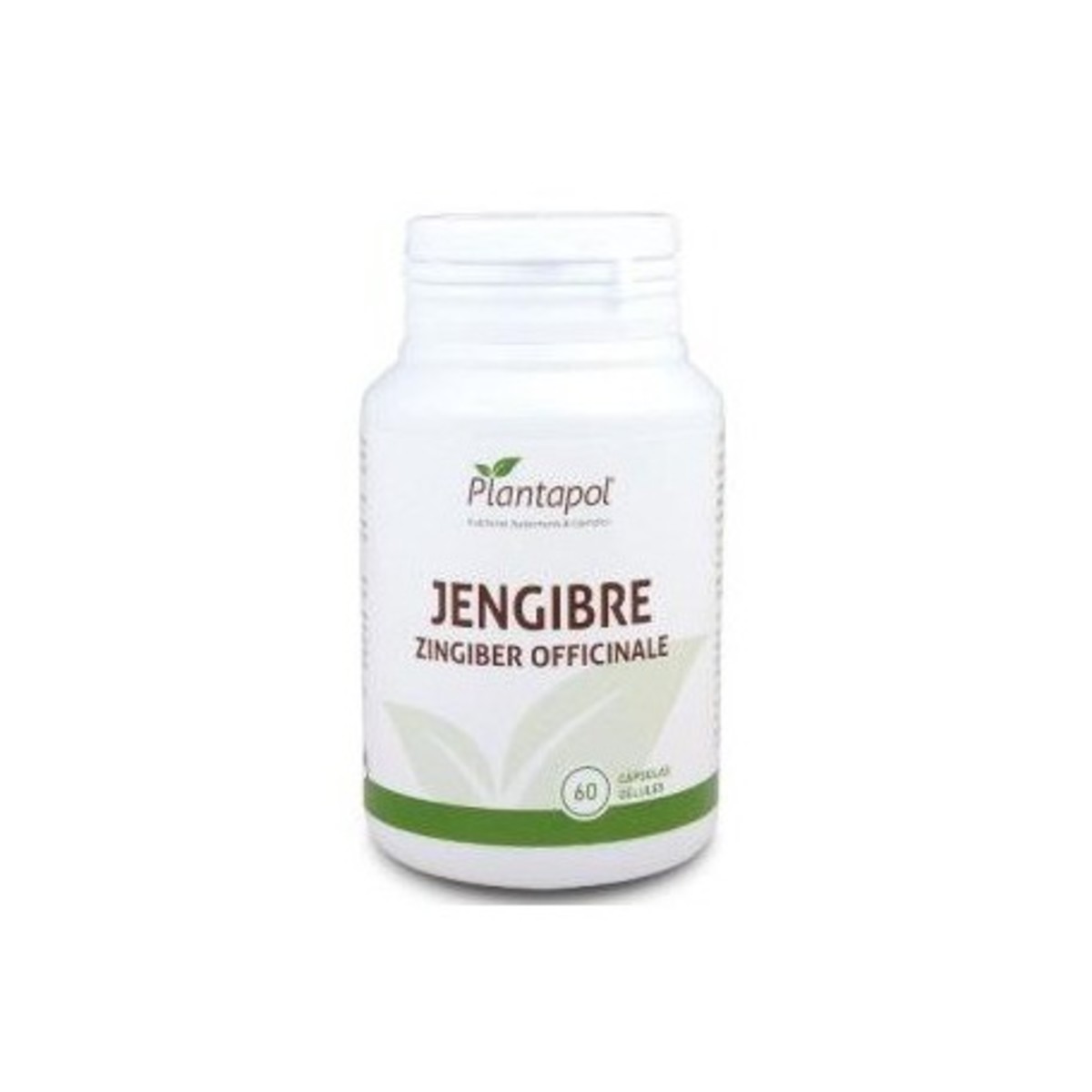 Jengibre 600 mg 60 Cápsulas Plantapol