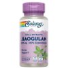 Jiaogulan 410 Mg 60 κάψουλες solaray