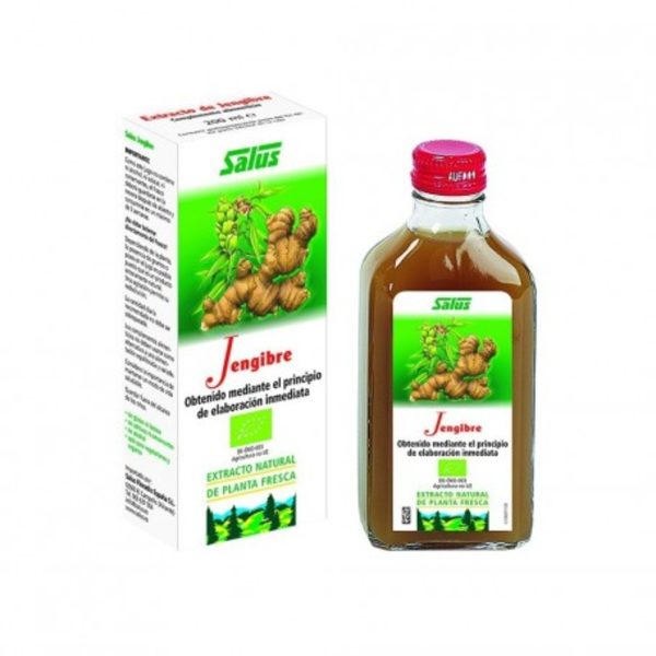 Saft Ingwer Salus – 200ml