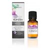 Kunzea Luomu Eteerinen Öljy Terpenic Evo – 30ml