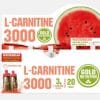 L-Carnitina 3000 mg Lubenica 20 doza Gold Nutrition