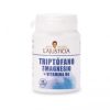 De Rechtvaardigheid Tryptofaan+Magnesium+Vitamine B6