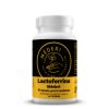 Lactoferrine 60 capsules