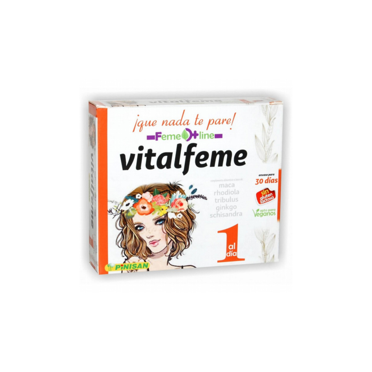 Lecitina Soja Pinisan – 500g