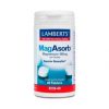 MagAbsorb 60 Comprimés Lamberts
