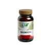 MAGNOCAL 60 capsules