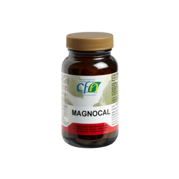 MAGNOCAL 60 Kapseln