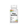 Mega Quercitin 60 Capsule Solaray