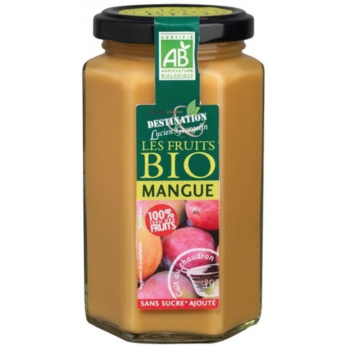 Mermelada de Mango Bio Destination – 300g