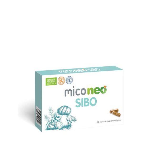 Miconeo Sibo 60 capsule gastrorresistenti