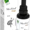 Micovital Chaga 100% Naturel – 50ml