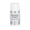 Microbiota Lactagest 60 Cápsulas Equisalud