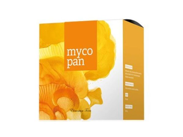 MYCOPAN ENERGY 90 capsules