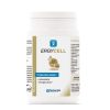 Nutergia Ergycell 90 Cápsulas