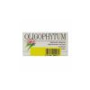 Oligophytum Silicium Holistique – 100g