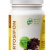 Ortosifón 500 mg 100 Ταμπλέτες GHF
