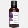Pachuli Terpenic – 30ml