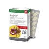 Pagosid Harpagofito 80 χαπιές Dr.Dunner