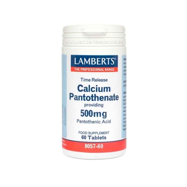 Pantothénate de calcium 500 mg 60 comprimés Lamberts