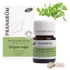 Perlas de aceite esencial Orégano Vulgar Sumidad Florida Bio 60 perlas Pranarom