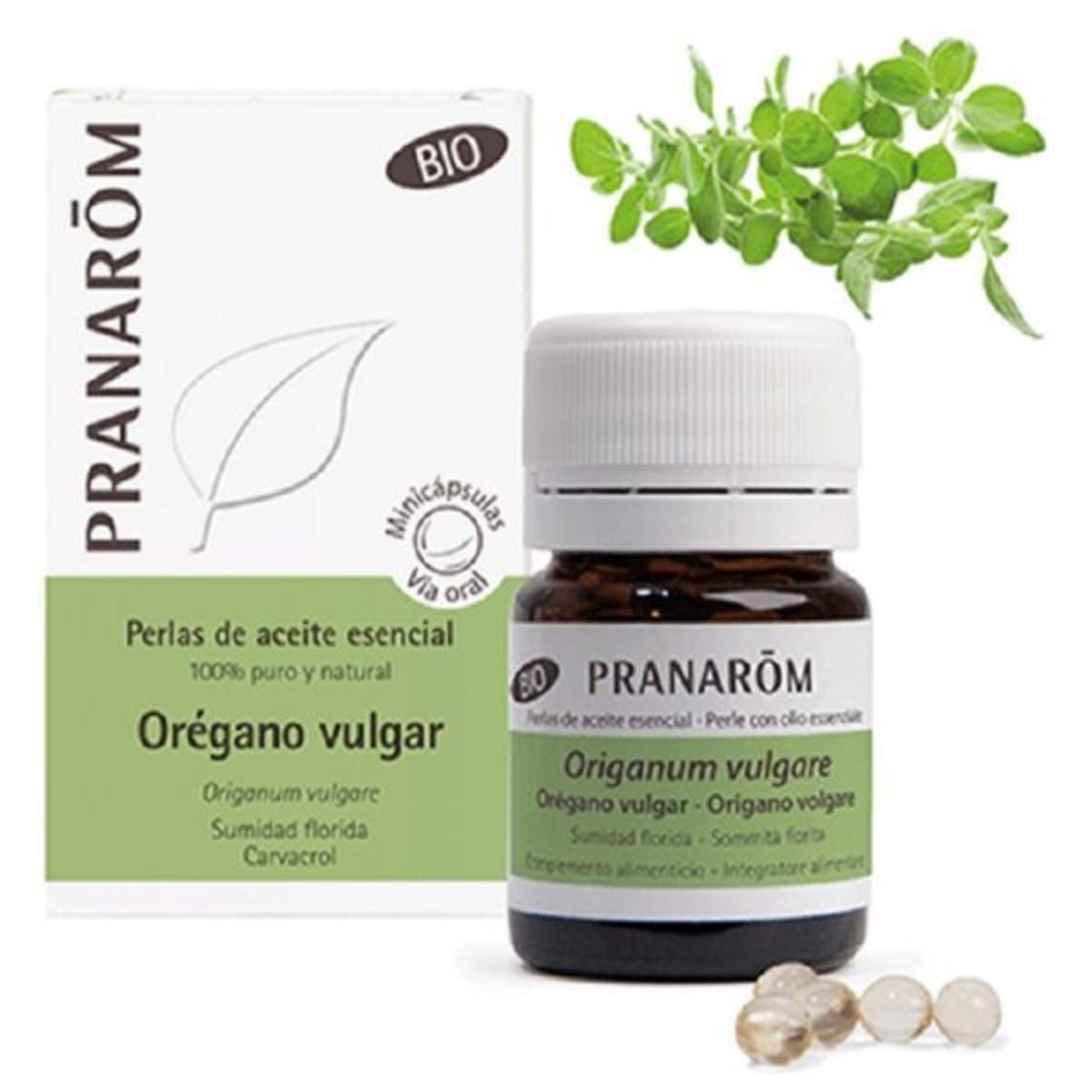 Perlas de aceite esencial Orégano Vulgar Sumidad Florida Bio 60 perlas Pranarom